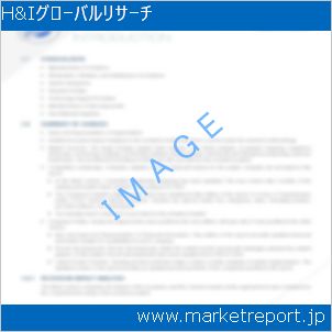 市場と産業調査レポートのイメージ
